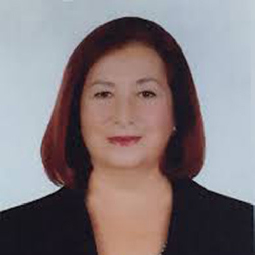 Prof. Dr. S.Mine Yurttagül