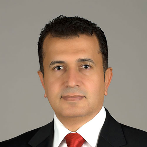 Prof. Dr. Ayhan Erdem