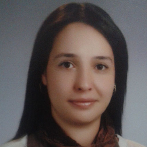 Assoc. Prof. Dr. Cemre Erten Tatlı