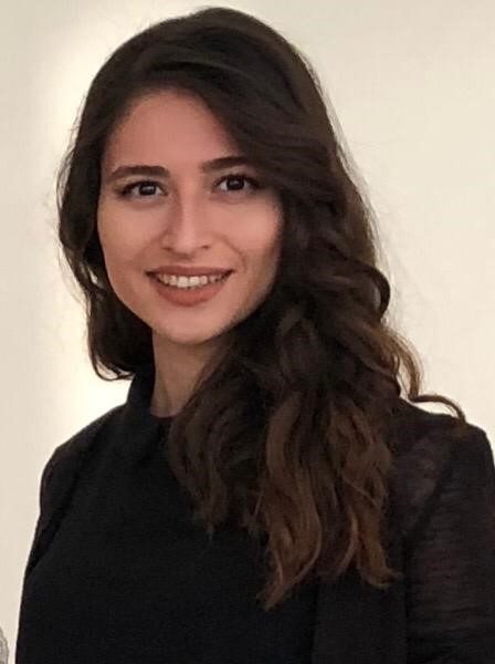 Dr. Öğr. Üyesi Kübra Demiröz