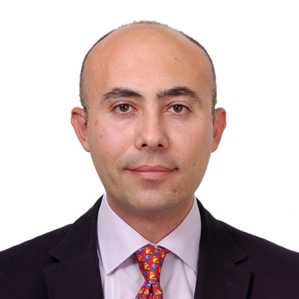 Prof. Dr. Osman Tolga Arıcak