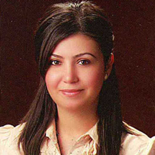 Dr. Öğr. Üyesi Sakine Hakkoymaz