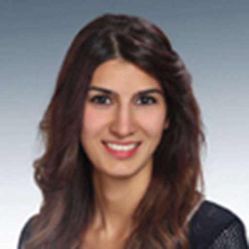 Dr. Öğr. Üyesi Sinem Dağılgan